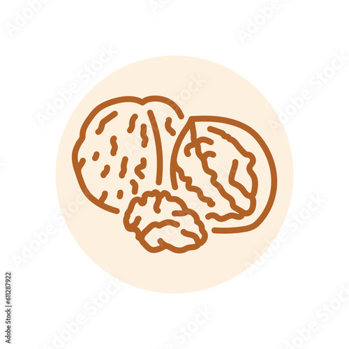 Walnut black line icon. Natural organic super food.