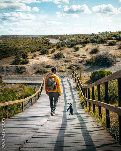 Traveler man in yellow jacket walks next to a penguin in Argentine Patagonia