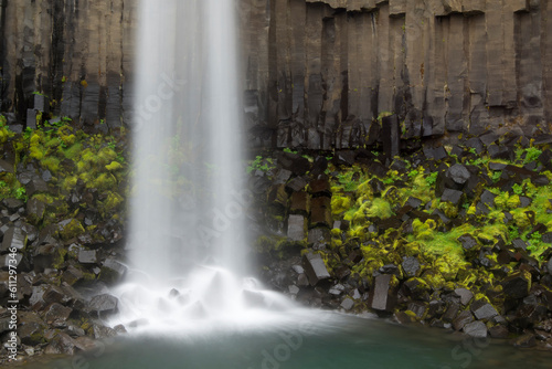 Svartifoss waterfall (Landscapes of Iceland)