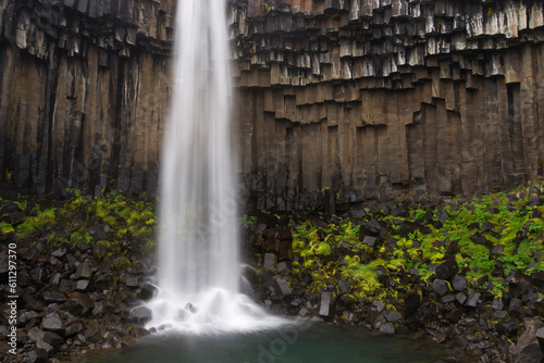 Svartifoss waterfall (Landscapes of Iceland)