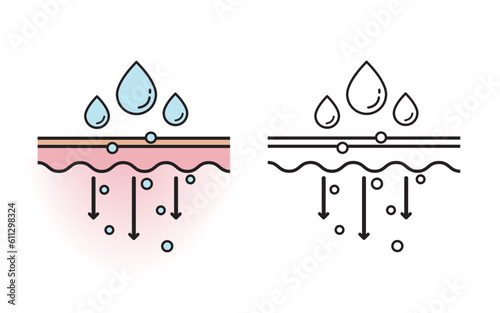The mechanism of nutrient absorption through skin layer with color and outline drawing vector on white background. Skin care and beauty concept. Flat icon illustration.