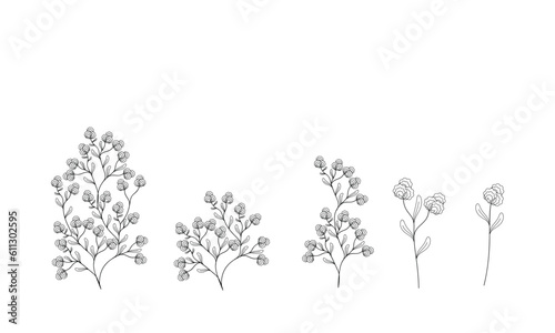 set handmade vector illustration. design element cotton flowers blossom.