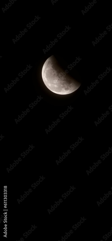 Obraz premium moon in the night sky