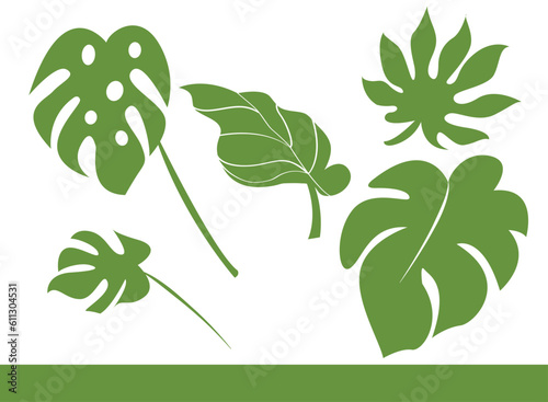 Set of green monstera tropical set is isolated vector 