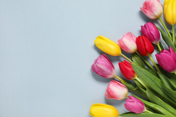 Beautiful colorful tulip flowers on light grey background, flat lay. Space for text