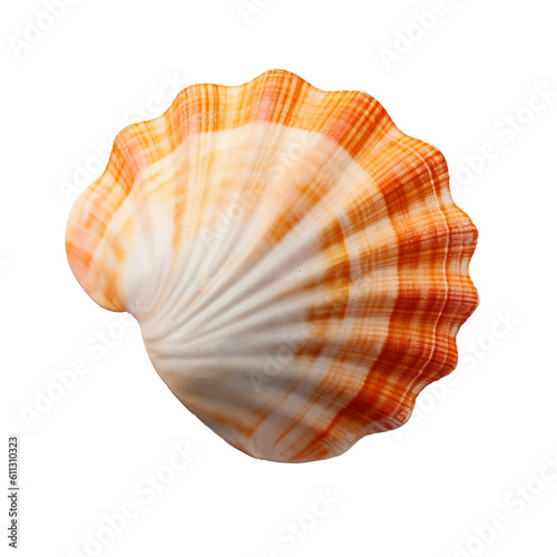 Seashell isolated on transparent or white background, png