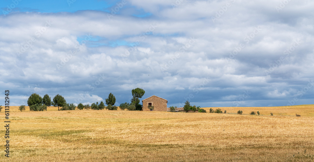 Beautiful landscape panoramic view of wheat field, yellow and green hills. Farm house, countryside, rolling hills and wheat fields Tuscany region, Italy, Europe.