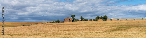 Beautiful landscape panoramic view of wheat field, yellow and green hills. Farm house, countryside, rolling hills and wheat fields Tuscany region, Italy, Europe.