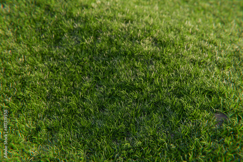 Grass Field Top View Texture. Green grass texture pattern background golf course turf from top view with authentic grassy lawn for environmental backdrop in yellow green