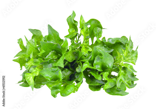watercress isolated on  transparent png