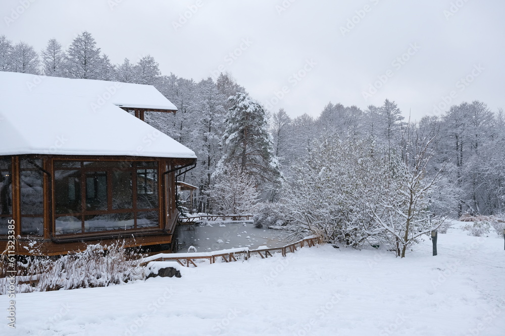 wooden house in snow