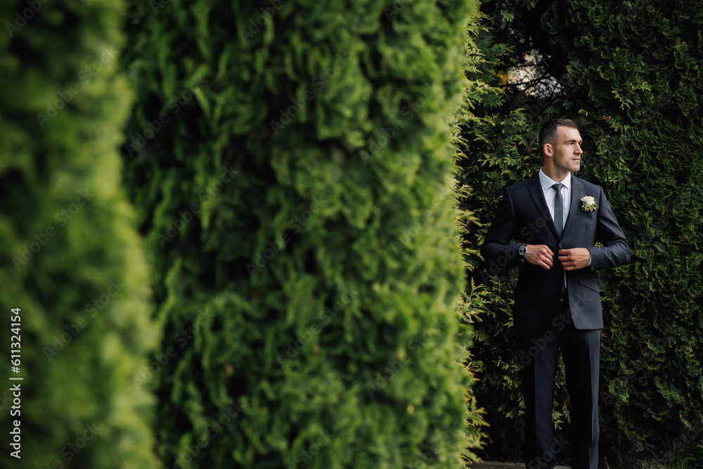 A man in a black suit poses in nature, near conifers. A stylish watch. Men's style. Fashion. Business. A man in a black suit poses in nature, near conifers. A stylish watch. Men's style. Fashion. Business.