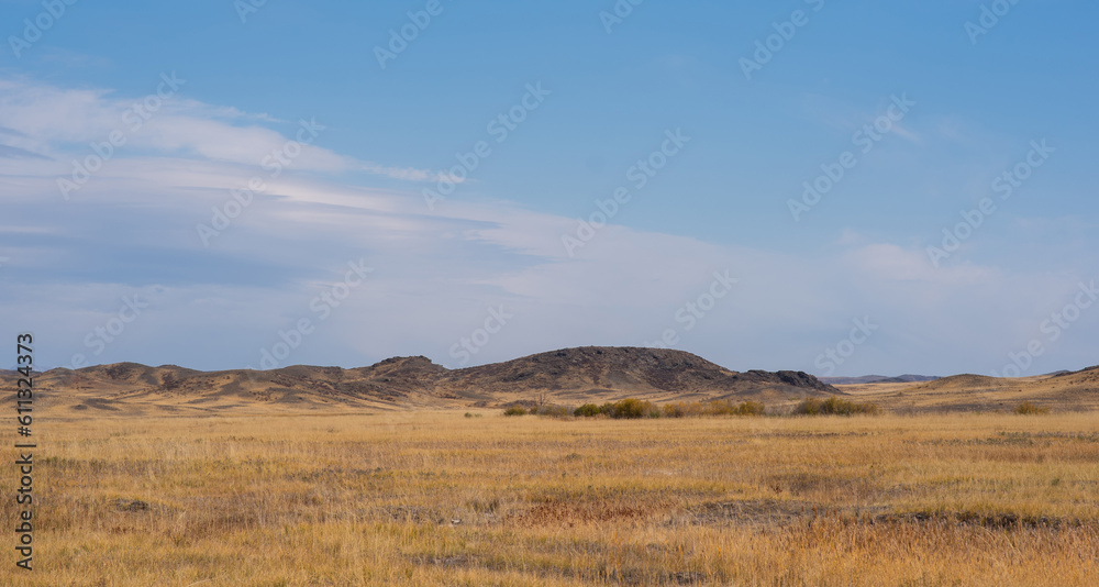 Naklejka premium Savanna covered with dry yellow grass and hills on the distant. White clouds in the blue sky. Desert in Namibia. Hot day. Travel to Africa.