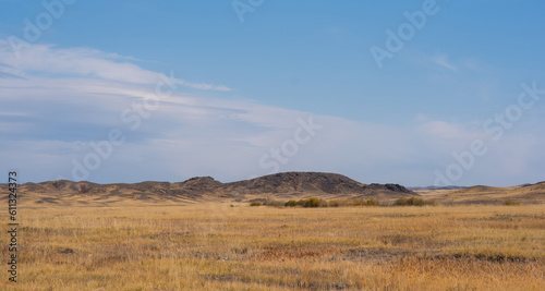 Savanna covered with dry yellow grass and hills on the distant. White clouds in the blue sky. Desert in Namibia. Hot day. Travel to Africa.