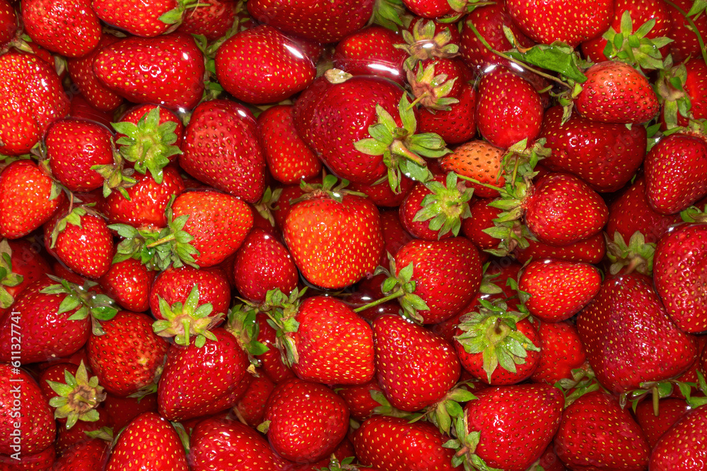 Strawberry background. Ripe strawberries in water. Stock photography Strawberry background. Ripe strawberries in water. Stock photography