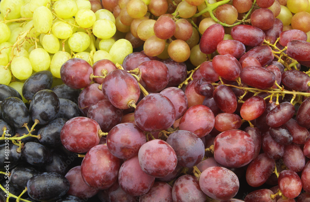 Five kinds of grapes close-up as background.