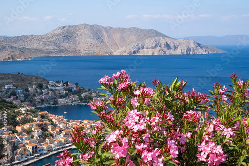 High View of Colorful Houses Below, the Blue Aegean Sea and the Mountains Beyond, With A Pink Oleander Bush in the Foreground