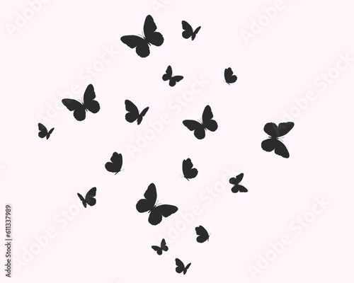 butterflies on white background