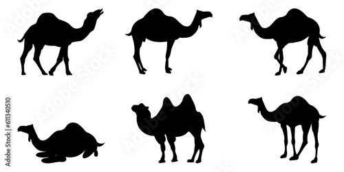 Camels Vector Silhouette Set