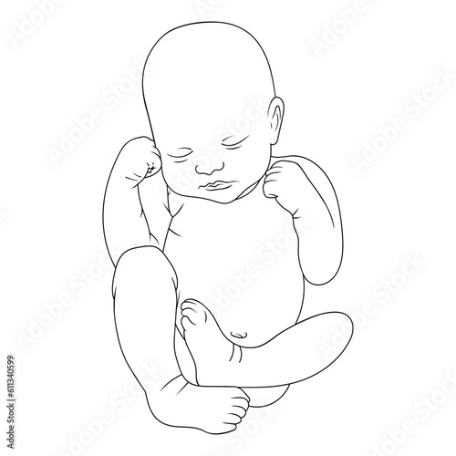 Line art. Newborn illustration. Hand drawn vector lying kid isolated on white background