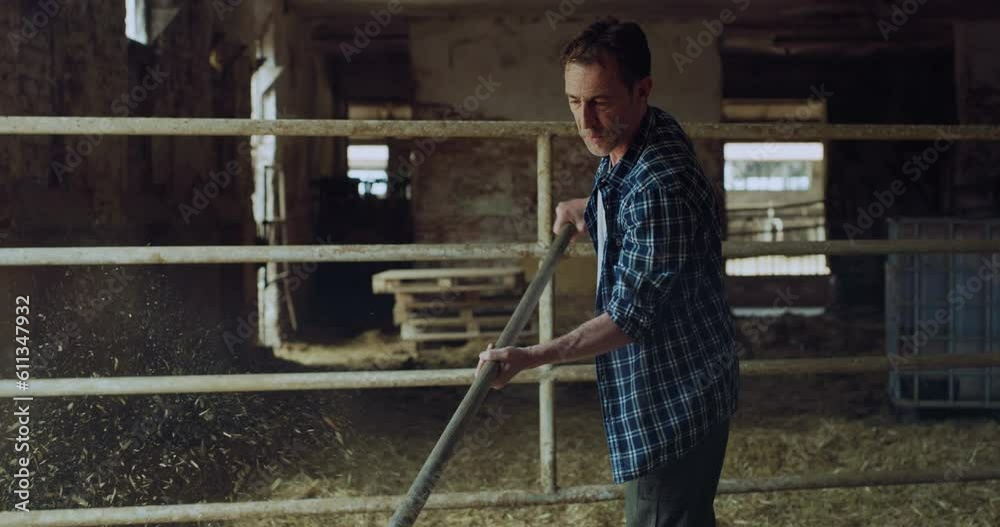 Portrait of a Male Farmer Working in his Farm Moving Hay with a Pitchfork. Happy Middle-Aged Professional Man Starting his Work Tasks in the Early Morning, Proud of his Effort and Job Portrait of a Male Farmer Working in his Farm Moving Hay with a Pitchfork. Happy Middle-Aged Professional Man Starting his Work Tasks in the Early Morning, Proud of his Effort and Job