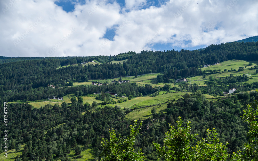 Fototapeta premium Orchards in the Sarca Valley in Italian Alps. Trentino Alto Adige, Italy, Europe. Idyllic vineyards and orchards, agricultural landscape.