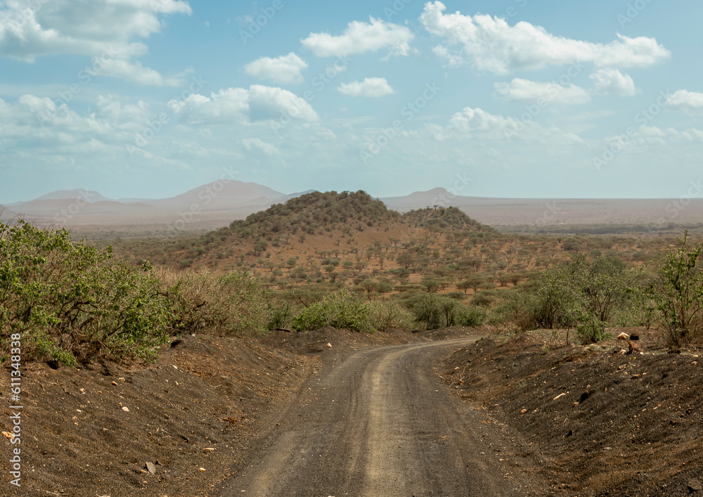 the Untamed Road into the Wild