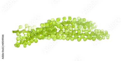 Sea grapes ( green caviar ) seaweed on  transparent png photo