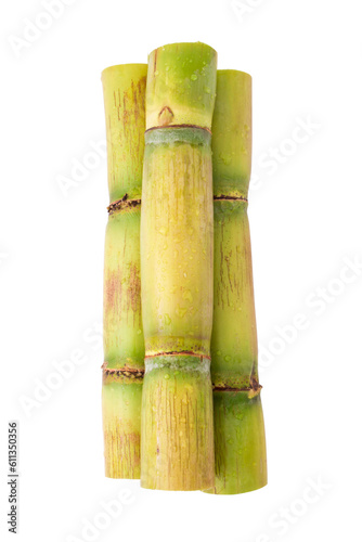 Sugar cane has water drop isolated on white background   clipping path.