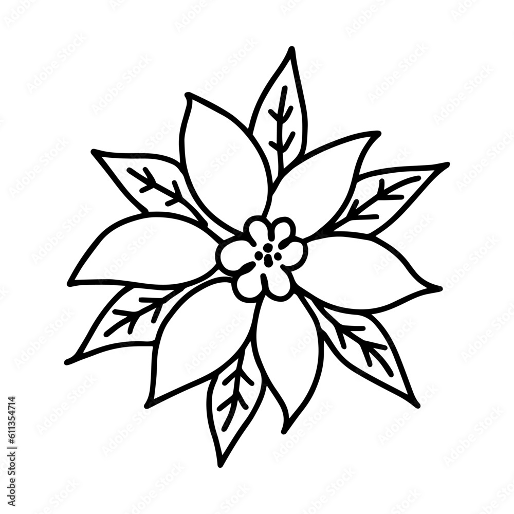 Hand drawn outline illustration of poinsettia. Christmas decorative floral element in doodle style