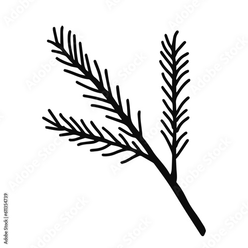 Hand drawn line art of fir branch. Christmas decorative floral element in doodle style