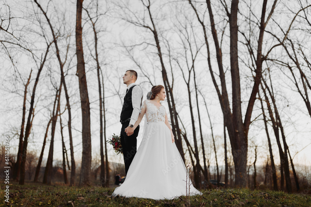 Wedding photo. The bride and groom are standing back to back in the forest. Long wedding dress. A couple in love among tall trees. Autumn sunlight. Wedding photo. The bride and groom are standing back to back in the forest. Long wedding dress. A couple in love among tall trees. Autumn sunlight.