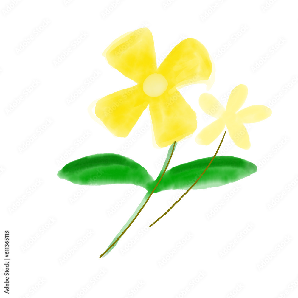 yellow flower watercolor isolated on white background