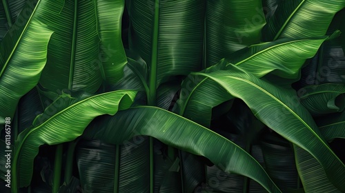 Tropical banana leaf texture, Dark green background, AI generated.