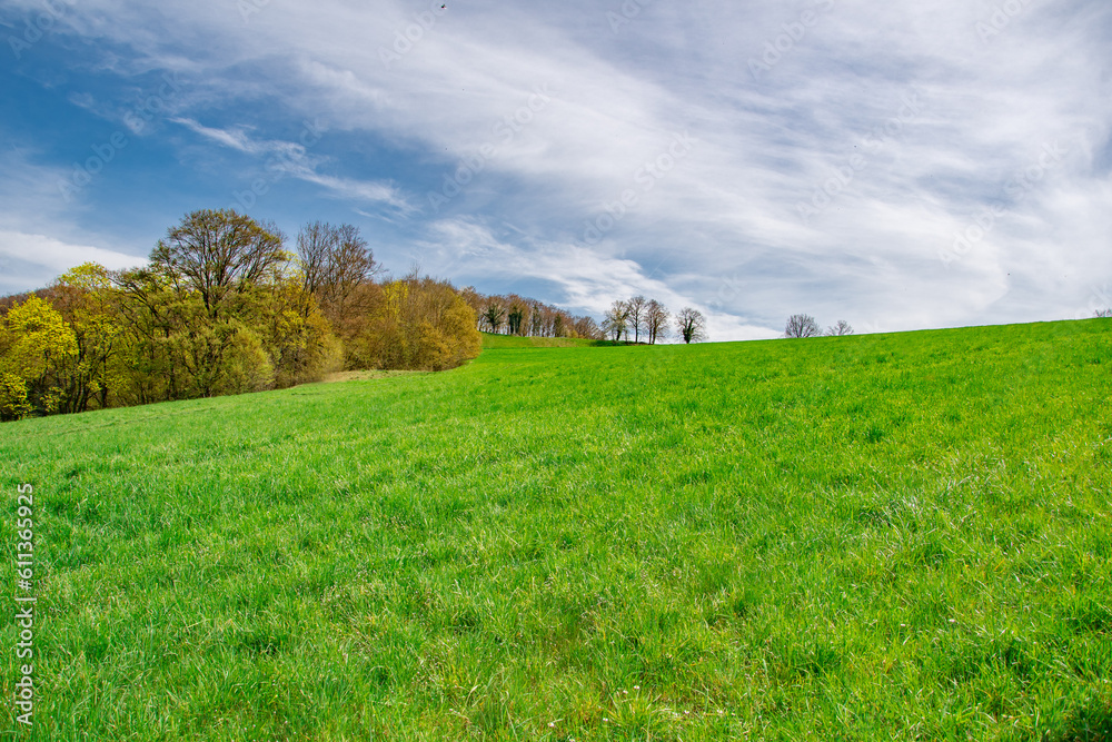 
Beautiful spring landscape on german fields in bavaria riedenburg