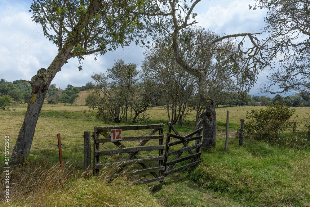 Old wood gate entrance on a grass field with trees