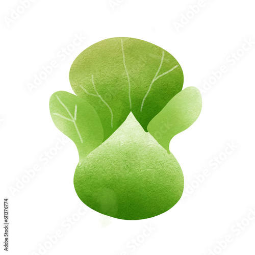 green leaf on white background