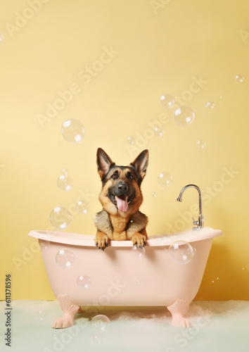 Cute german shepherd dog in a small bathtub with soap foam and bubbles, cute pastel colors.