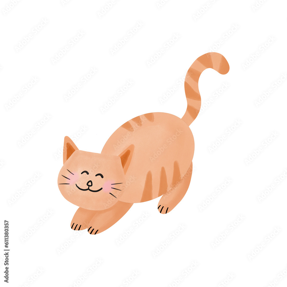 Cat Cat