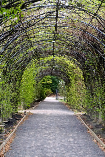 An arbor at the Snug Harbor Cultural Center and Botanical Garden, on Staten Island, New York.