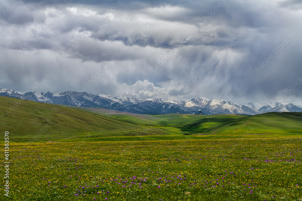 Alpine meadow in the Kazakh mountains of the Zailiysky Alatau and the observatory on a summer day