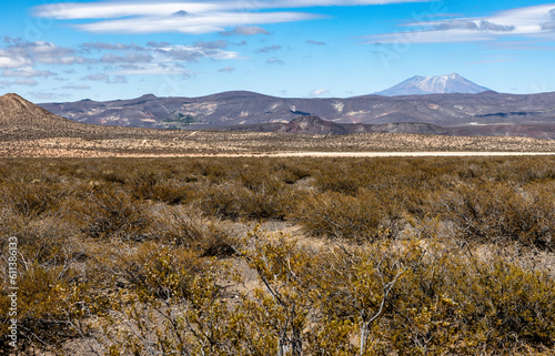 Landscape shot of the Argentinian Pampa in the Province Neuquén - Traveling South America