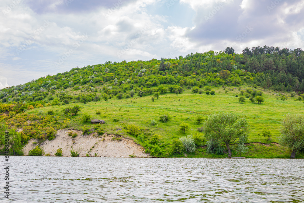 Obraz premium landscape with river and forest