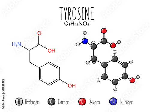 Tyrosine amino acid representation. Skeletal formula and 2d structure illustration, isolated on white background. Vector editable