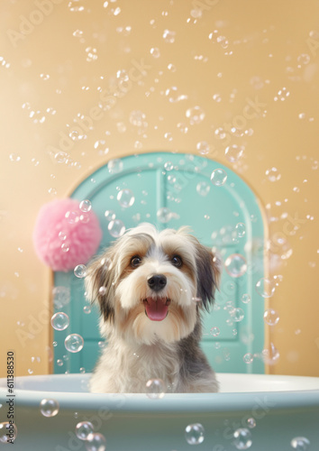 Cute Havanese dog in a small bathtub with soap foam and bubbles, cute pastel colors.