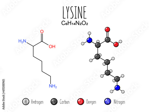 Lysine amino acid representation. Skeletal formula and 2d structure illustration, isolated on white background. Vector editable photo