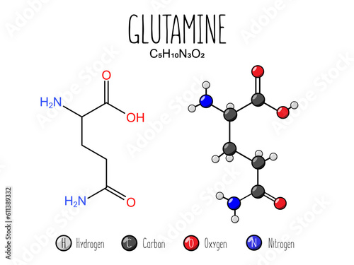 Glutamine amino acid representation. Skeletal formula and 2d structure illustration, isolated on white background. Vector editable