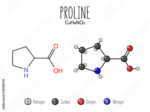 Proline amino acid representation. Skeletal formula and 2d structure illustration, isolated on white background. Vector editable