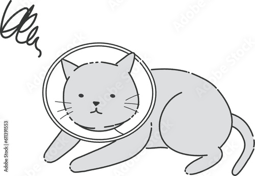 エリザベスカラーを着けられ、困った顔の猫