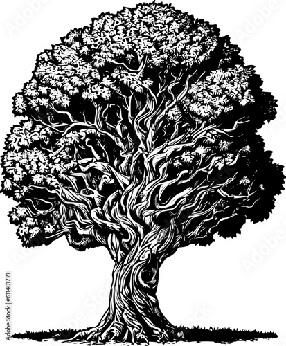 tree with roots